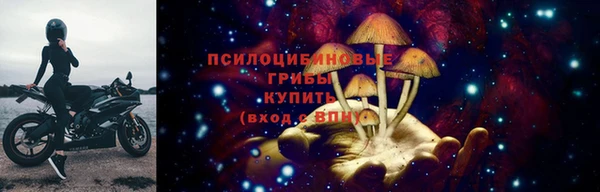 метадон Новодвинск