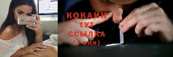 метадон Новодвинск
