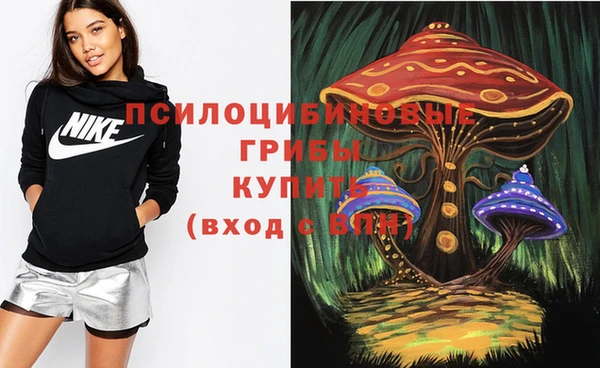 героин Новозыбков