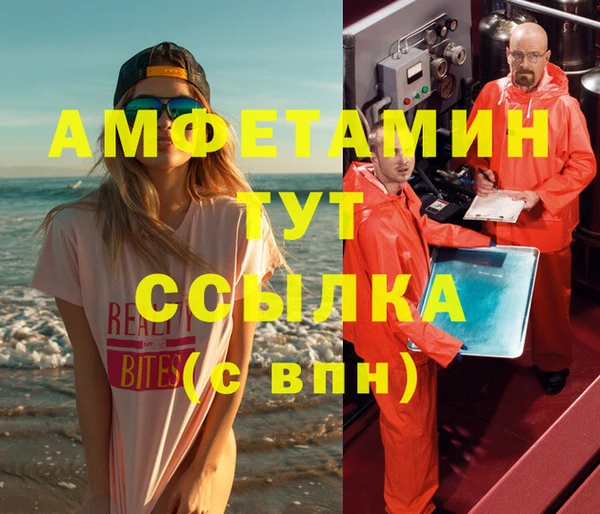 гашик Анжеро-Судженск