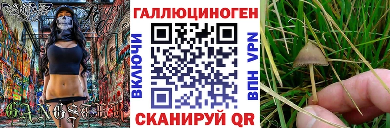 что такое наркотик  blacksprut маркетплейс  Галлюциногенные грибы Psilocybine cubensis  Пошехонье 